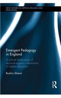 Emergent Pedagogy in England: A Critical Realist Study of Structure-Agency Interactions in Higher Education