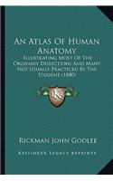 An Atlas Of Human Anatomy