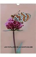 Les Papillons De La Sainte-Baume 2018