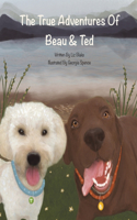The True Adventures of Beau and Ted