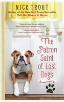 Patron Saint of Lost Dogs