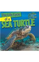 The Life Cycle of a Sea Turtle