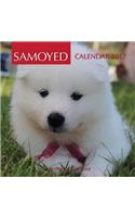 Samoyed Calendar 2017: 16 Month Calendar