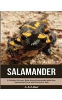 Salamander