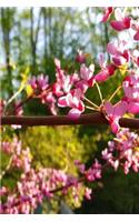 Journal Springtime Beautiful Nature: (Notebook, Diary, Blank Book)(Flower Photo Journals Notebooks Diaries)