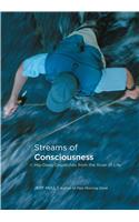 Streams of Consciousness