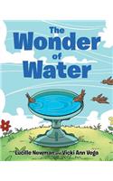 The Wonder of Water