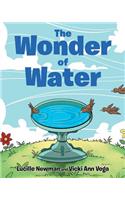 Wonder of Water