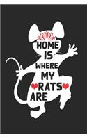 Home Is Where My Rats Are