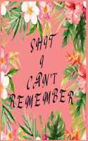 Shit I Can't Remember