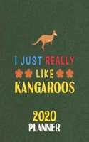 I Just Really Like Kangaroos 2020 Planner