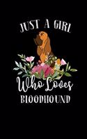 Just a Girl Who Loves Bloodhound: Perfect Bloodhound Lover Gift For Girl. Cute Notebook for Bloodhound Lover. Gift it to your Sister, Daughter, Mother, Mom, Grandpa Who Loves Bloodho