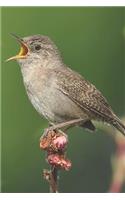 Bird Journal