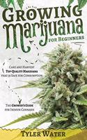 Growing Marijuana for Beginners