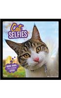 Cat Selfies 2020 Square Wall Calendar
