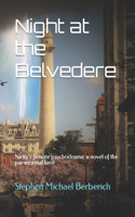 Night at the Belvedere