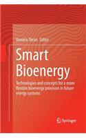 Smart Bioenergy