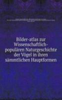 Bilder-atlas zur Wissenschaftlich-popularen Naturgeschichte der Vogel in ihren sammtlichen Hauptformen