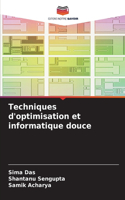 Techniques d'optimisation et informatique douce