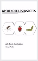 Apprendre les Insectes
