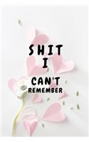 Shit I Can't Remember