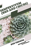 Sempervivum (Hen and Chicks)