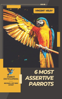 6 Most Assertive Parrots