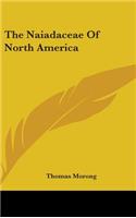 The Naiadaceae Of North America
