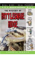 Mystery at Rattlesnake Ridge