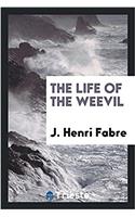 The Life of the Weevil