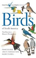 Birds of South America