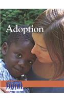 Adoption: (Issues That Concern You)