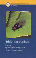 British Lonchaeidae