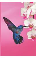 Hummingbird Journal