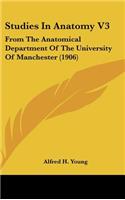 Studies In Anatomy V3: From The Anatomical Department Of The University Of Manchester (1906)
