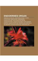 Endokrines Organ