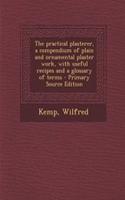 The Practical Plasterer, a Compendium of Plain and Ornamental Plaster Work, with Useful Recipes and a Glossary of Terms: (English)