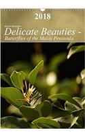 Delicate Beauties - Butterflies of the Malay Peninsula 2018