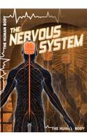 Nervous System