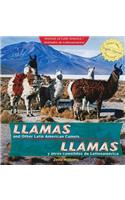 Llamas and Other Latin American Camels / Llamas Y Otros Camélidos de Latinoamérica