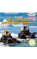 Sea Otters / Las Nutrias Marinas