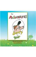 Adventures of Barry the Bear