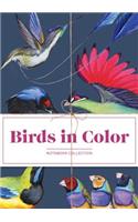 Birds in Color Notebook Collection