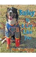 Bailey Is a Lot Like You
