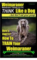 Weimaraner, Weimaraner Training AAA AKC