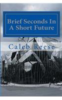 Brief Seconds In A Short Future: The Rapid Eternity(The Rapid Eternity)