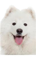Samoyed Notebook & Journal. Productivity Work Planner & Idea Notepad: Brainstorm Thoughts, Self Discovery, To Do List