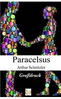 Paracelsus (Großdruck): (German)