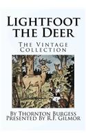 Lightfoot the Deer
