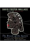 The Broom of the System